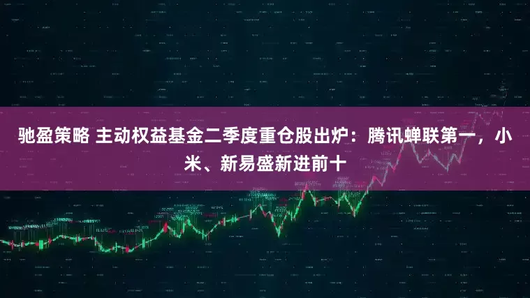 驰盈策略 主动权益基金二季度重仓股出炉：腾讯蝉联第一，小米、新易盛新进前十