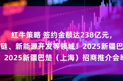 红牛策略 签约金额达238亿元，覆盖农产品供应链、新能源开发等领域！2025新疆巴楚（上海）招商推介会举办